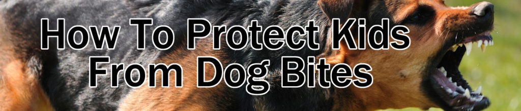 how to protect children from dogs dog bite lawyer Charlottesville VA